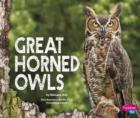 Veľké rohaté sovy - Great Horned Owls