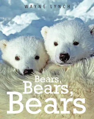 Medvede, medvede, medvede - Bears, Bears, Bears