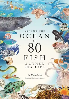 Okolo oceánu v 80 rybách a iných morských živočíchoch - Around the Ocean in 80 Fish and Other Sea Life