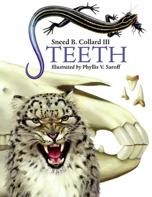 Zuby - Teeth