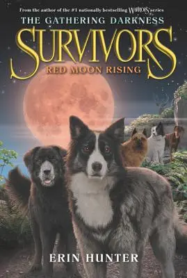 Vychádzajúci červený mesiac - Red Moon Rising