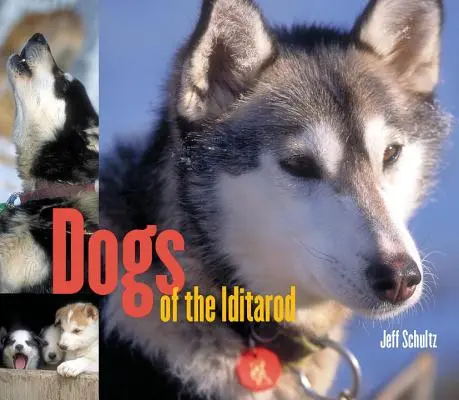 Psy Iditarodu - Dogs of the Iditarod