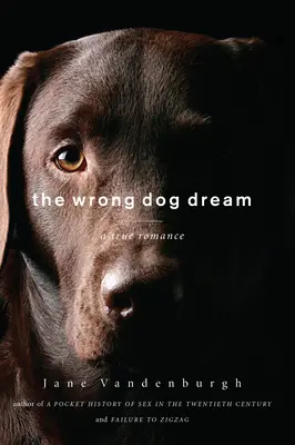 Zlý psí sen - Pravdivá romanca - Wrong Dog Dream - A True Romance