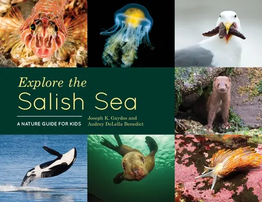 Preskúmajte Salish Sea: Prírodovedný sprievodca pre deti - Explore the Salish Sea: A Nature Guide for Kids