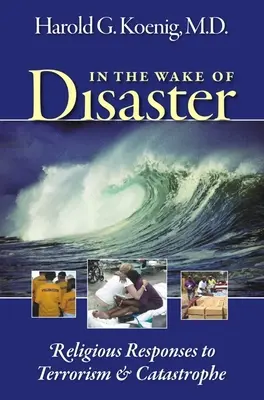 Po katastrofe: Náboženské reakcie na terorizmus a katastrofy - In the Wake of Disaster: Religious Responses to Terrorism & Catastrophe
