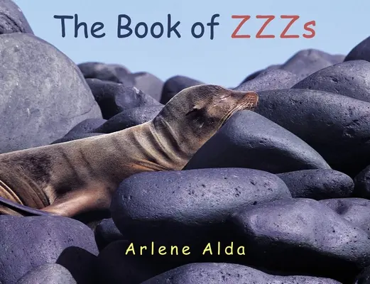 Kniha ZZZ - The Book of ZZZs