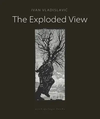 Vybuchnutý pohľad - The Exploded View