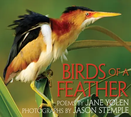Vtáky z peria - Birds of a Feather