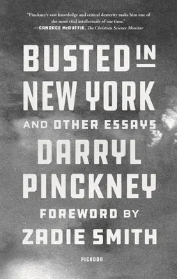 Zatknutí v New Yorku a iné eseje - Busted in New York and Other Essays