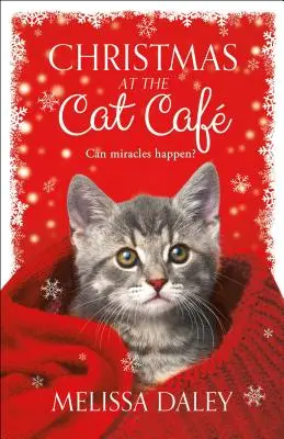 Vianoce v mačacej kaviarni - Christmas at the Cat Caf