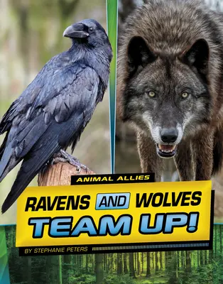 Havrany a vlci sa spojili! - Ravens and Wolves Team Up!