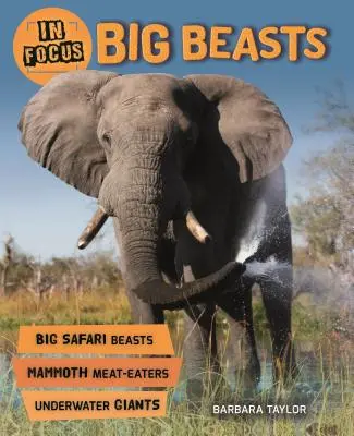 V centre pozornosti: Veľké šelmy - In Focus: Big Beasts
