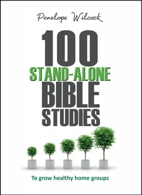 100 samostatných biblických štúdií: Na pestovanie zdravých domácich skupín - 100 Stand-Alone Bible Studies: To Grow Healthy Home Groups