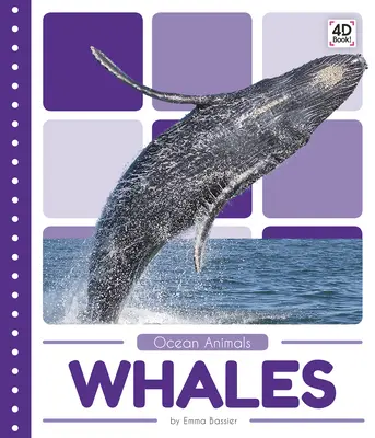 Veľryby - Whales