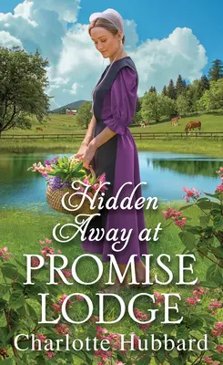 Skryté v chate Promise Lodge - Hidden Away at Promise Lodge
