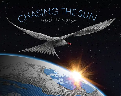 Honba za slnkom - Chasing the Sun
