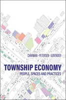Ekonomika miest - ľudia, priestory a praktiky - Township Economy - People, Spaces and Practices