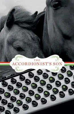 Syn harmonikára - The Accordionist's Son