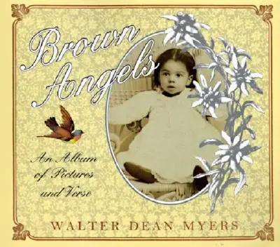 Hnedí anjeli: Album obrázkov a veršov - Brown Angels: An Album of Pictures and Verse
