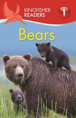 Medvede - Bears