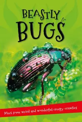 Všetko je to o ... Zvieracie chrobáky: Všetko, čo chcete vedieť o minibeastoch v jednej úžasnej knihe - It's All about . . . Beastly Bugs: Everything You Want to Know about Minibeasts in One Amazing Book