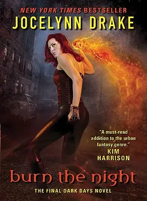 Burn the Night: Posledný román o temných dňoch - Burn the Night: The Final Dark Days Novel