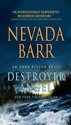 Anjel ničiteľ - Destroyer Angel