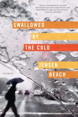 Pohltený chladom: Príbehy - Swallowed by the Cold: Stories