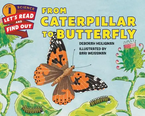 Od húsenice k motýľovi - From Caterpillar to Butterfly