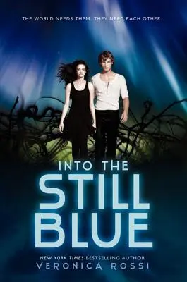 Do tichej modrej - Into the Still Blue