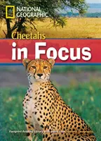 Gepardi v centre pozornosti - Footprint Reading Library 2200 - Cheetahs in Focus - Footprint Reading Library 2200