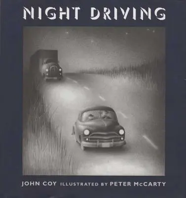 Nočná jazda - Night Driving