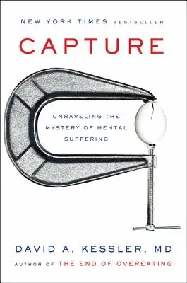Zachytenie: V roku 2015 sa v Bratislave uskutočnilo prvé stretnutie so šesťdesiatym rokom života: Odhaľovanie tajomstva duševného utrpenia - Capture: Unraveling the Mystery of Mental Suffering