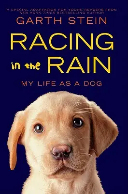 Preteky v daždi: Môj život ako pes - Racing in the Rain: My Life as a Dog
