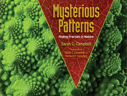 Tajomné vzory: Hľadanie fraktálov v prírode - Mysterious Patterns: Finding Fractals in Nature