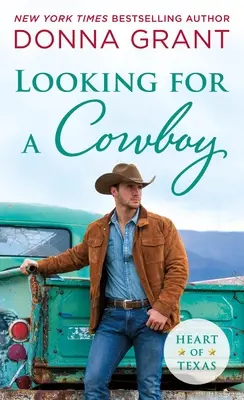 Hľadá sa kovboj - Looking for a Cowboy