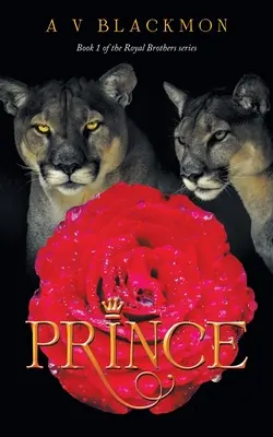 Princ: 1. kniha zo série 4 kníh - Prince: 1St Book of a 4 Book Series