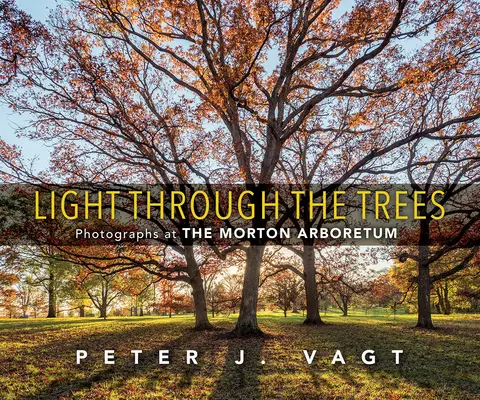 Svetlo cez stromy: Fotografie v arboréte Morton - Light Through the Trees: Photographs at the Morton Arboretum