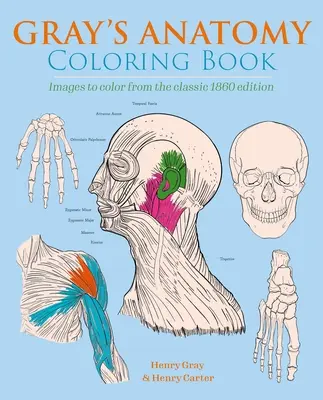 Grayova anatómia Omaľovánky: Obrázky na vyfarbenie z klasického vydania z roku 1860 - Gray's Anatomy Coloring Book: Images to Color from the Classic 1860 Edition