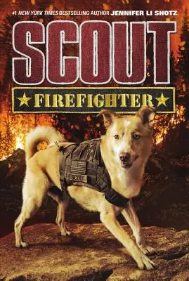 Skaut: Firefighter: Firefighter - Scout: Firefighter