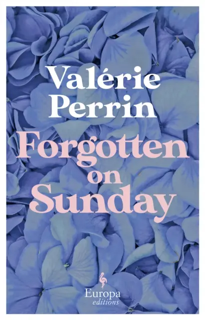 Zabudnuté v nedeľu - Od autorky bestselleru Svieža voda pre kvety v miliónovom náklade - Forgotten on Sunday - From the million copy bestselling author of Fresh Water for Flowers