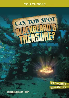 Dokážeš rozpoznať Černovousov poklad?: Interaktívne dobrodružstvo s pokladom: Dokážete nájsť Čierneho čerta? - Can You Spot Blackbeard's Treasure?: An Interactive Treasure Adventure