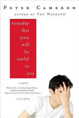 Jedného dňa vám táto bolesť bude užitočná - Someday This Pain Will Be Useful to You