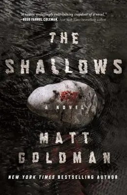 Plytčiny: Nils Shapiro Novel - The Shallows: A Nils Shapiro Novel