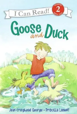 Husa a kačica - Goose and Duck