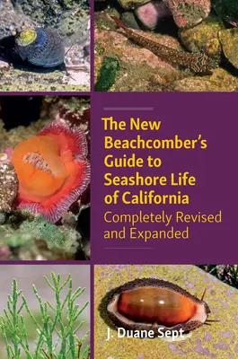 The New Beachcomber's Guide to Seashore Life of California (Sprievodca nového plážového cestovateľa po pobreží Kalifornie): Kompletne prepracovaný a rozšírený - The New Beachcomber's Guide to Seashore Life of California: Completely Revised and Expanded