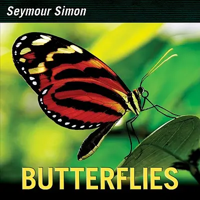 Motýle - Butterflies