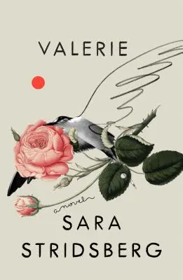 Valerie: Alebo Fakulta snov: A Novel - Valerie: Or, the Faculty of Dreams: A Novel
