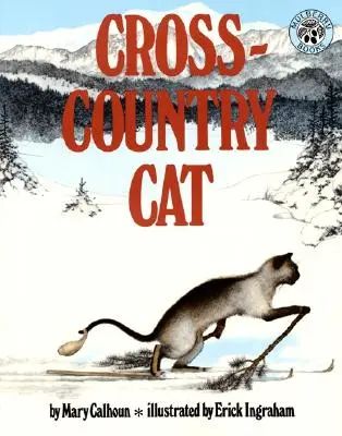 Mačka na bežkách - Cross-Country Cat