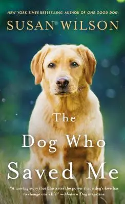Pes, ktorý ma zachránil - román - Dog Who Saved Me - A Novel